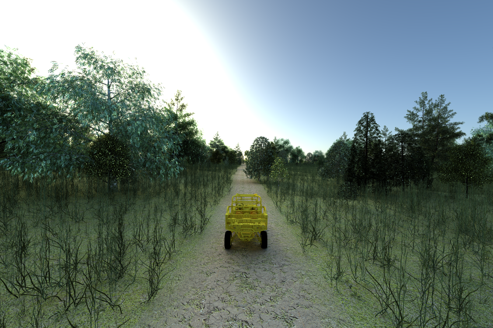 forest
